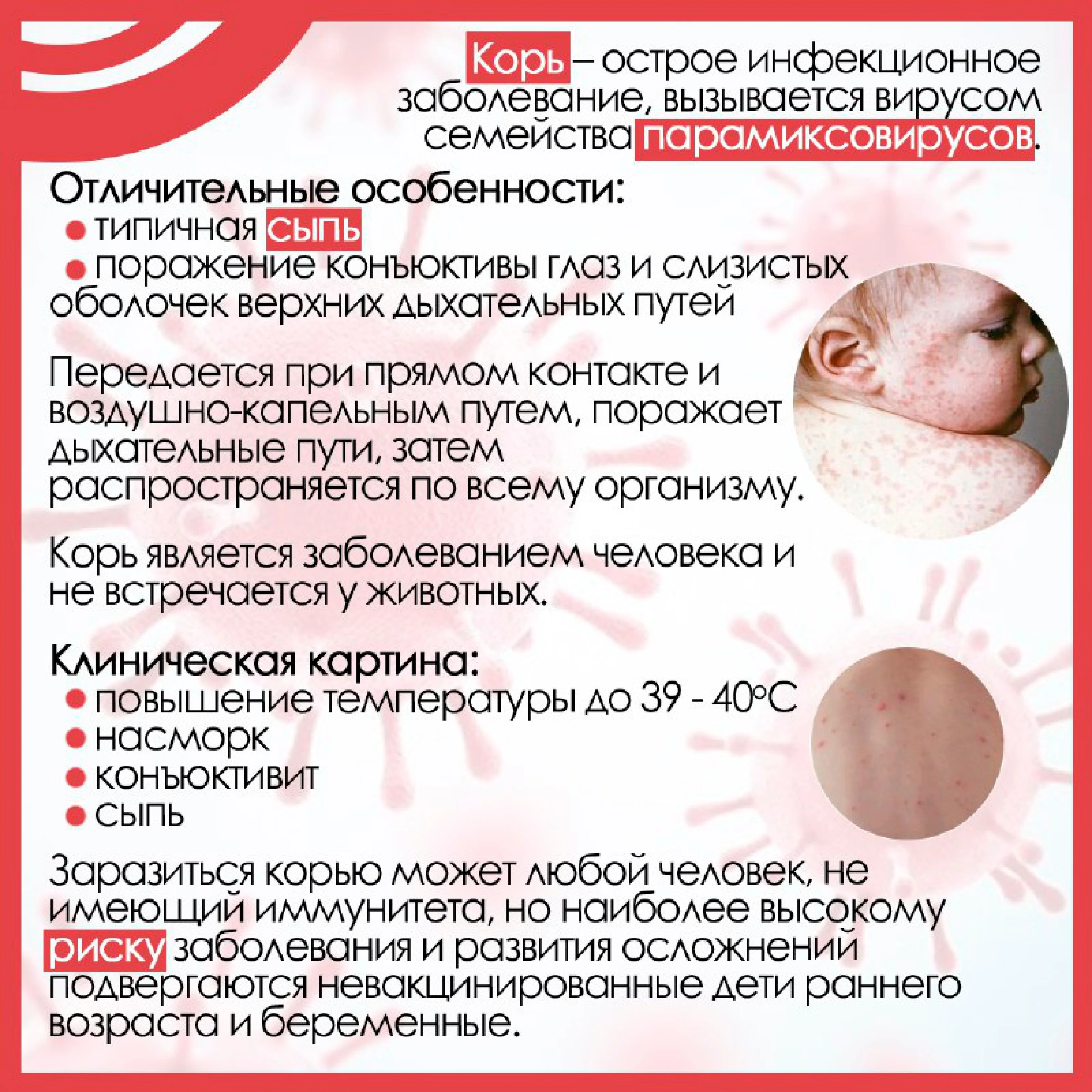 2878_page-0004.jpg