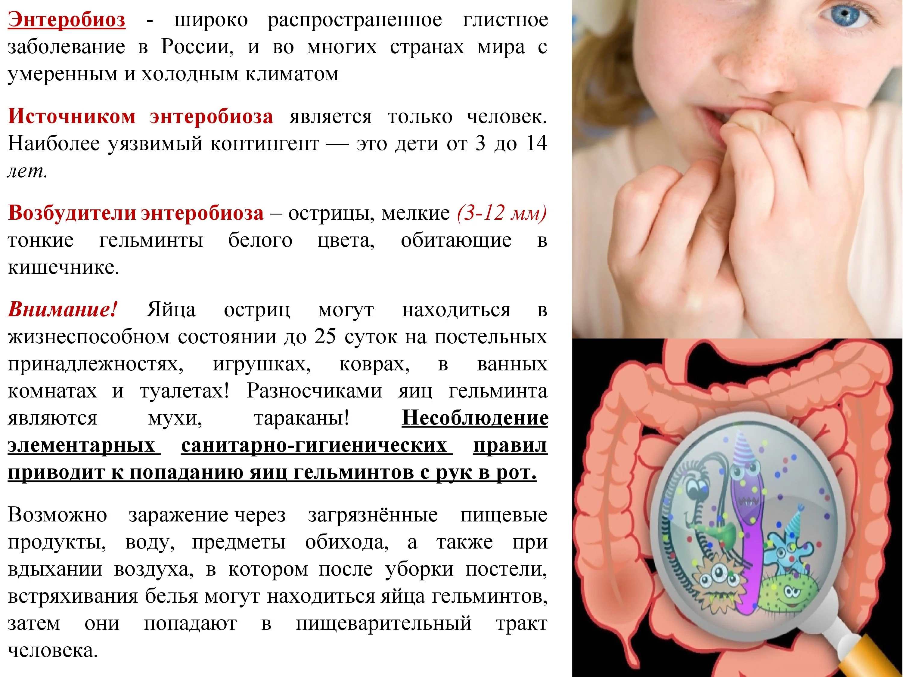 p1hd3ckmpb1s011rj82d3aoq162u4-2.jpg